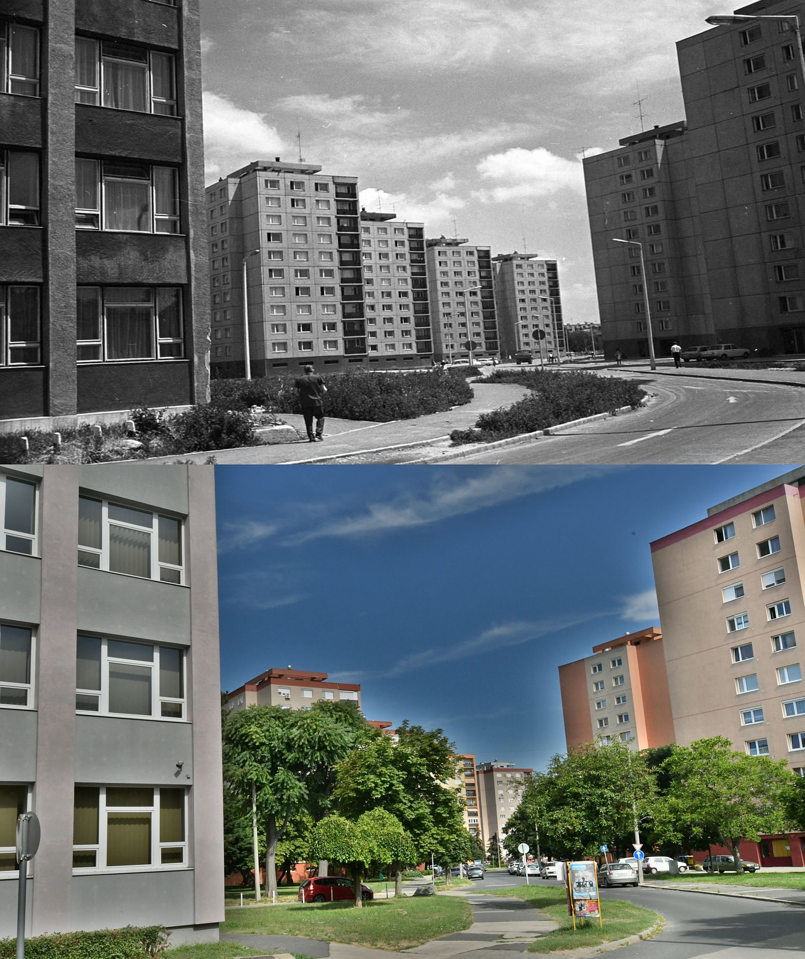 Minden generációnak egyformán fontos a zöld környezet